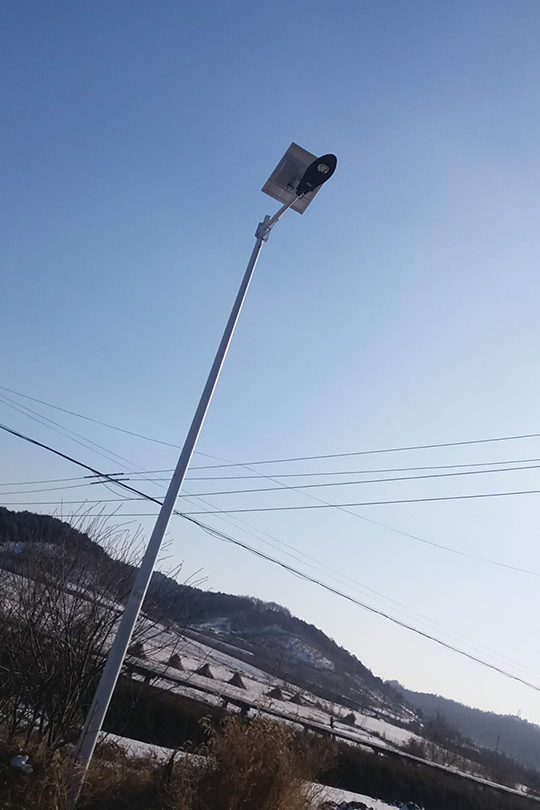 遼寧20W太陽能挑臂路燈工程